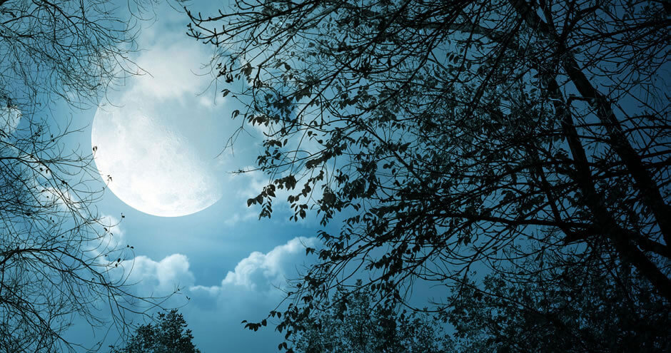 Diego de Oxóssi | Crescente, Cheia, Minguante ou Nova... Qual a melhor fase da lua para os seus rituais e como ela influencia nossas energias? Acesse e descubra!