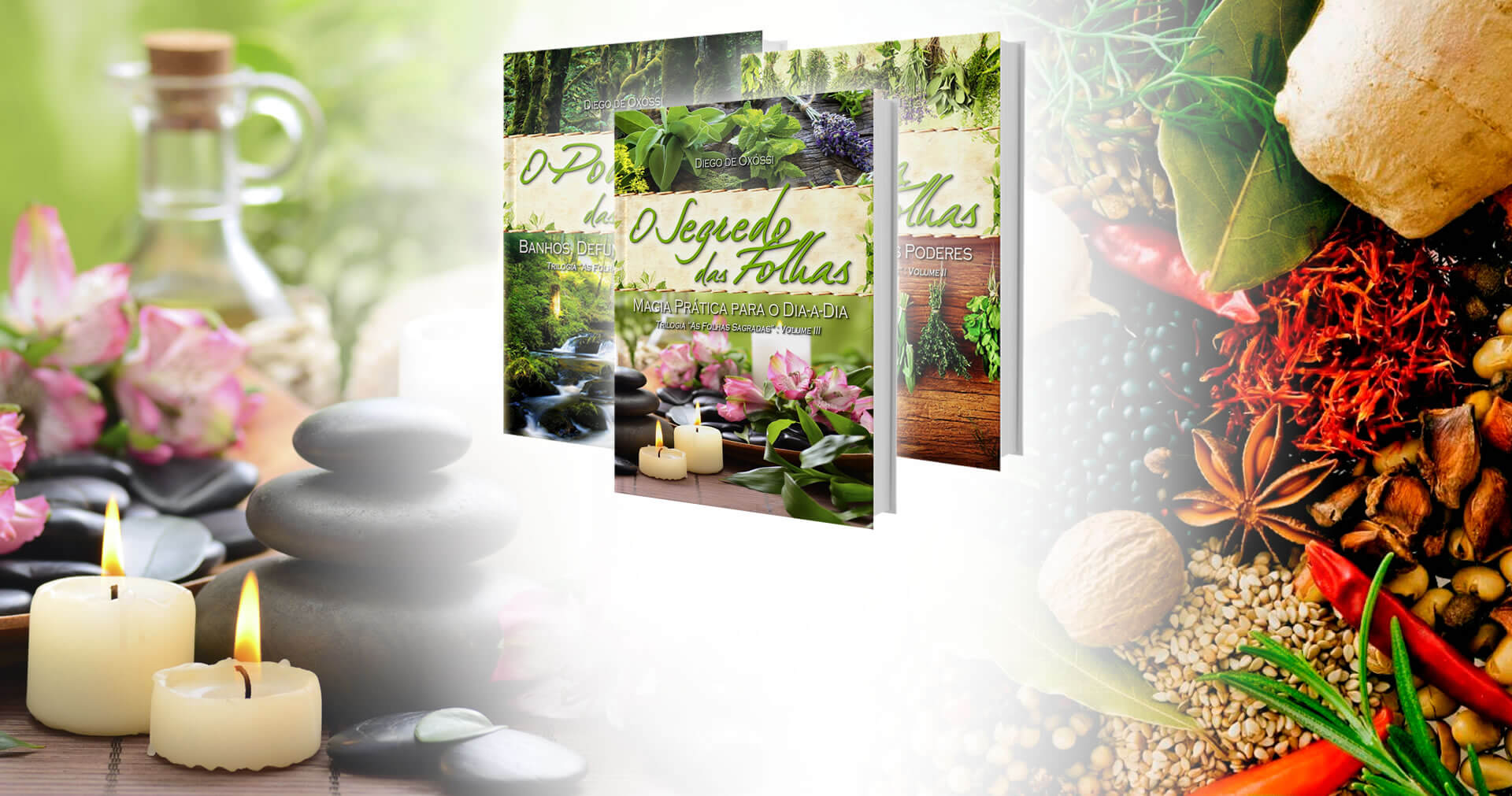 Diego de Oxóssi | In volume 2 of the collection, babalosha Diego de Oxóssi presents the biggest dictionary of magic herbs in Brazil, with 365 plants in details.
