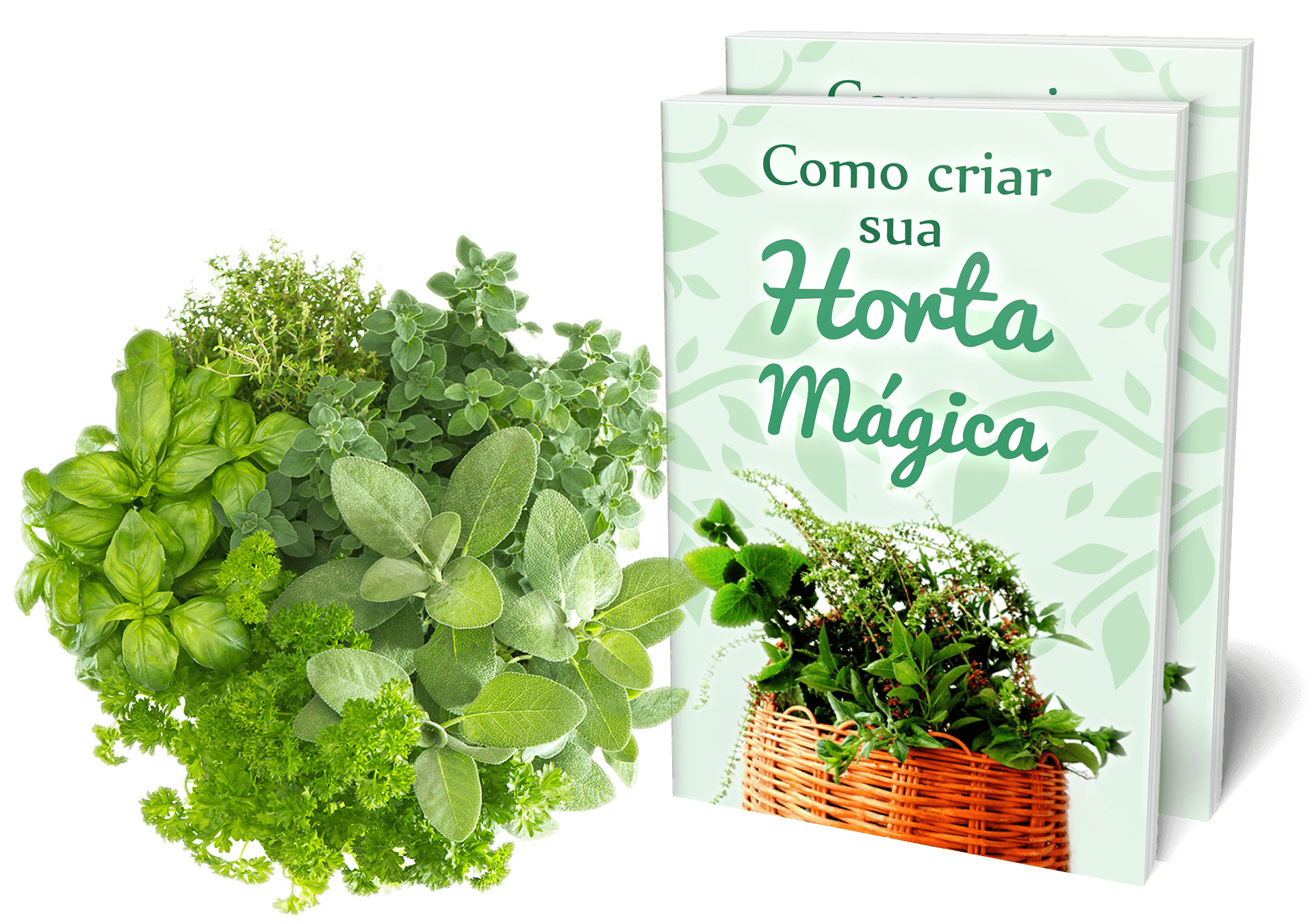FORM: Horta Mágica