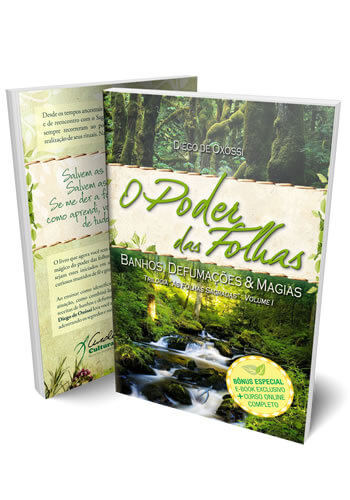O Poder das Folhas