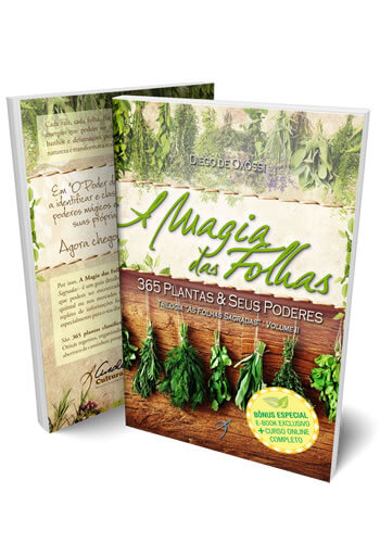A Magia das Folhas