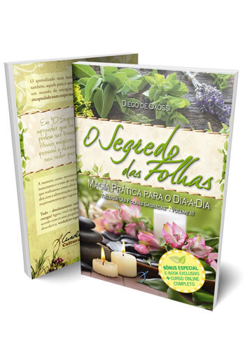 O Segredo das Folhas